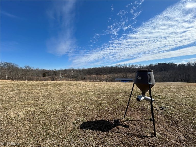 Ridgeview Lane, Blue Rock, OH - Photo 5