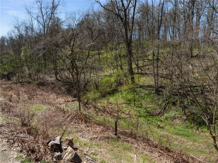 115 Township Road 501, Mingo Junction, OH - Photo 4