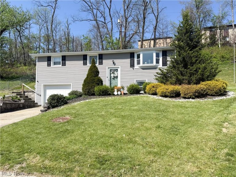 240 Rex Avenue, Wintersville, OH - Photo 2