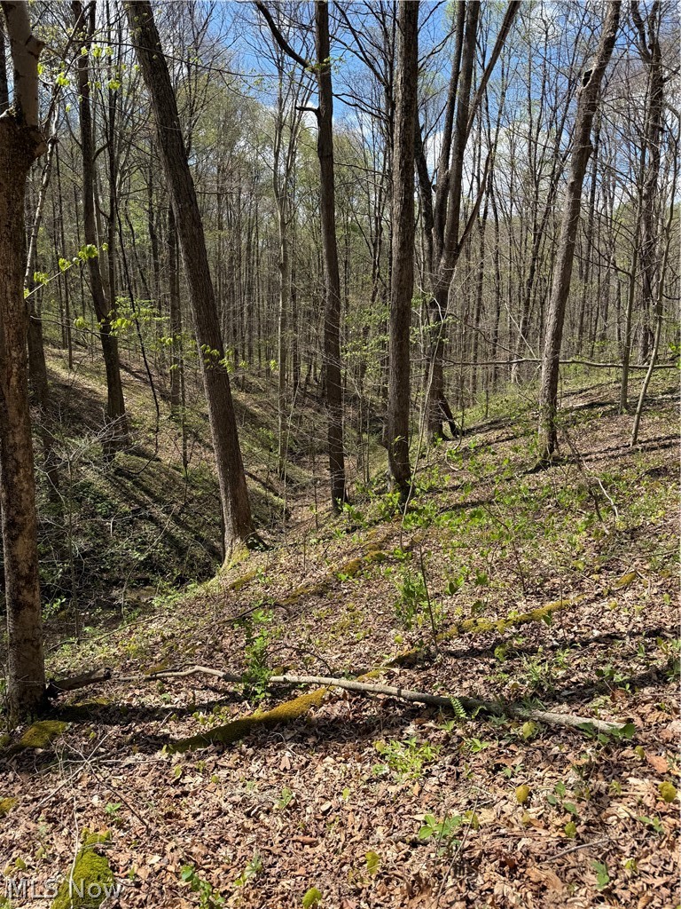 Plainview Road, Woodsfield, OH - Photo 8
