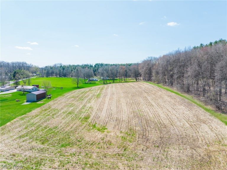 9050 Freeman Road, Lisbon, OH - Photo 3