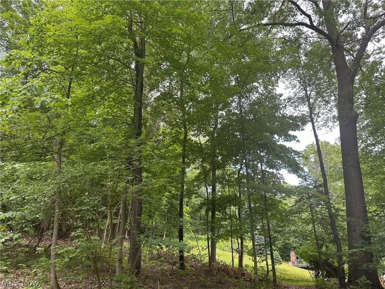 Belleau Wood Drive, Akron, OH - Photo 8