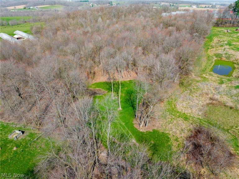 Nebraska Road, Dundee, OH, 44624
