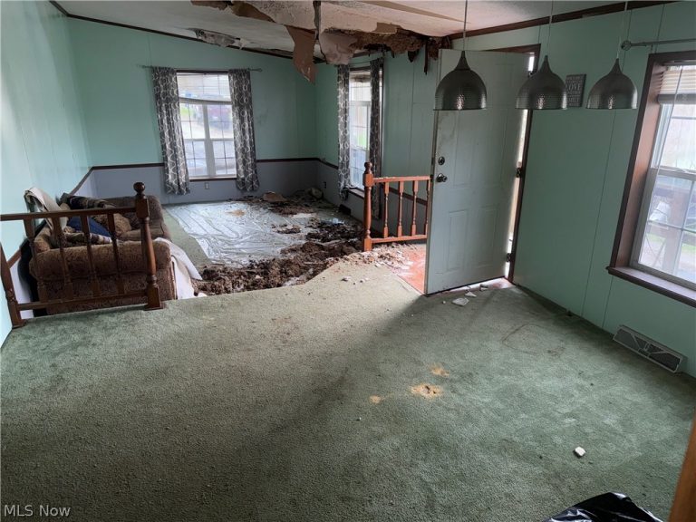 1049 Buckeye Street, Bridgeport, OH - Photo 4