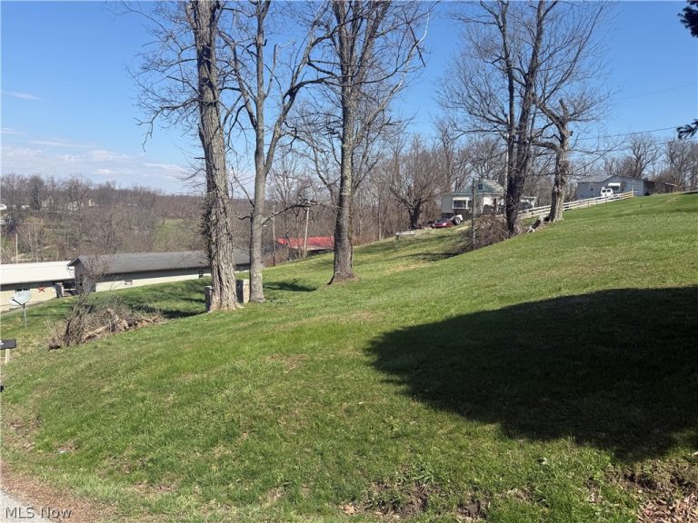 126 Oak Street, Barnesville, OH - Photo 3