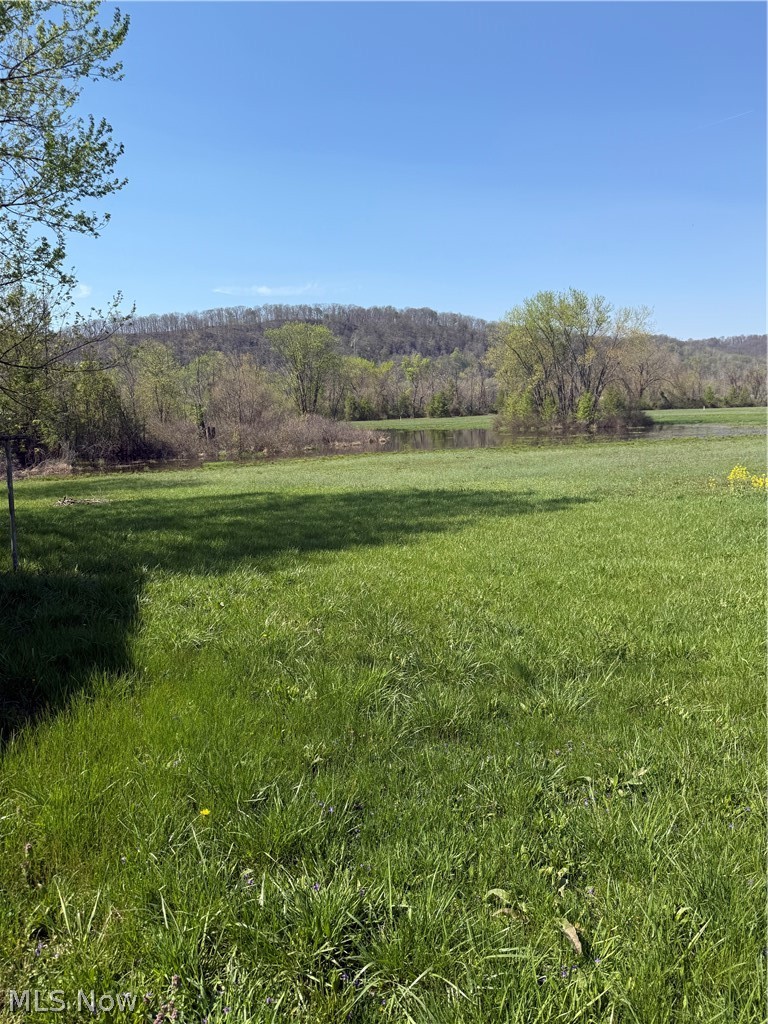 25.15 Ac Pleasants Highway, St Marys, WV - Photo 2