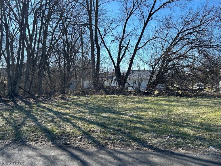 Midland Avenue, Youngstown, OH - Photo 2