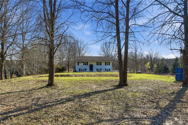 9800 Williams Road, Diamond, OH - Photo 3