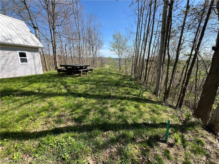 BOONE Road, Kimbolton, OH - Photo 3