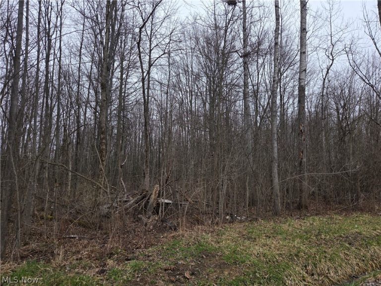 Plank Road, Orwell, OH - Photo 2