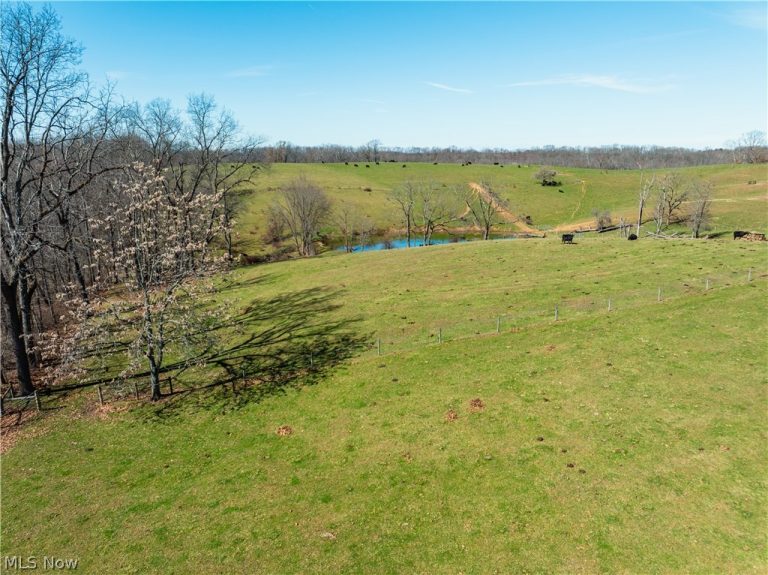 91100 Eckley Road, Jewett, OH - Photo 3