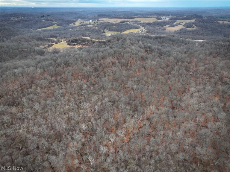 0 Tract 14 CR 7 Rear, Caldwell, OH - Photo 4