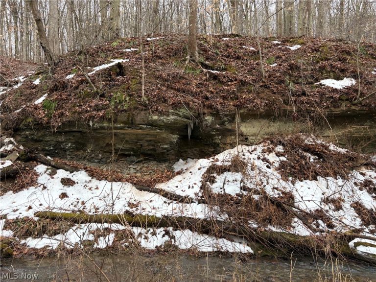 Tract 4 Twp Rd 815, Woodsfield, OH - Photo 5