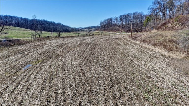 49870 Township Road 189, Fresno, OH - Photo 4