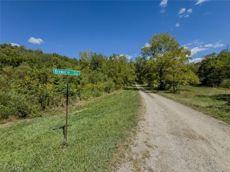 Brewer Road, Cadiz, OH - Photo 2