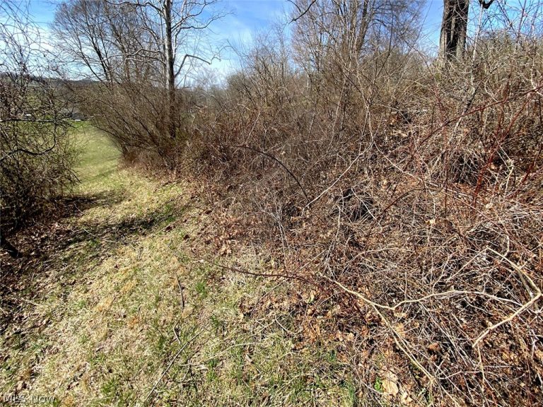 Township Rd 408, Warsaw, OH - Photo 4