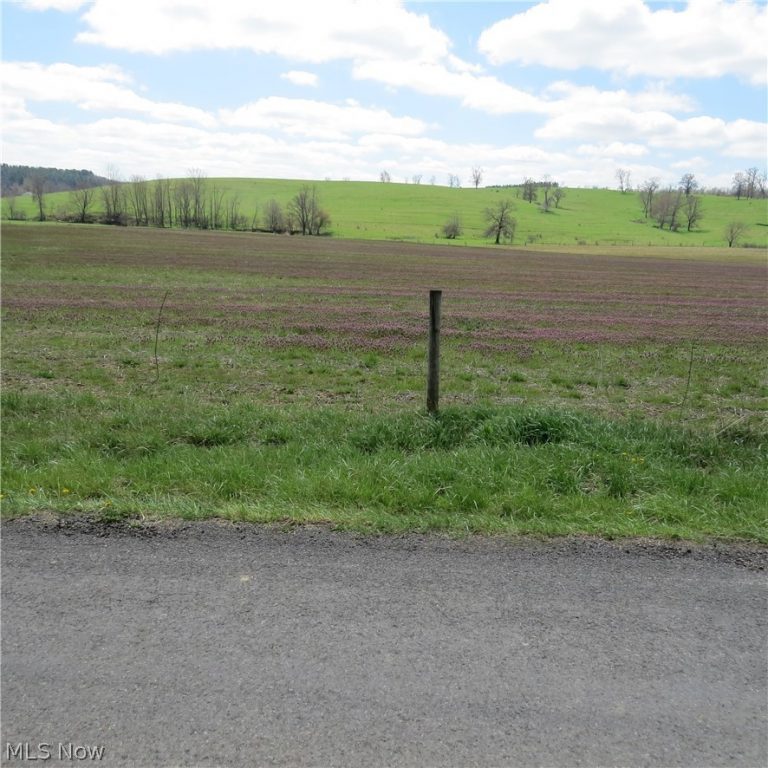 Fink Road, Kensington, OH - Photo 2