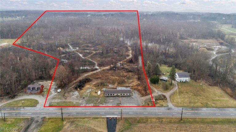 9580 & 9582 North Ridge Road, Geneva, OH - Photo 2