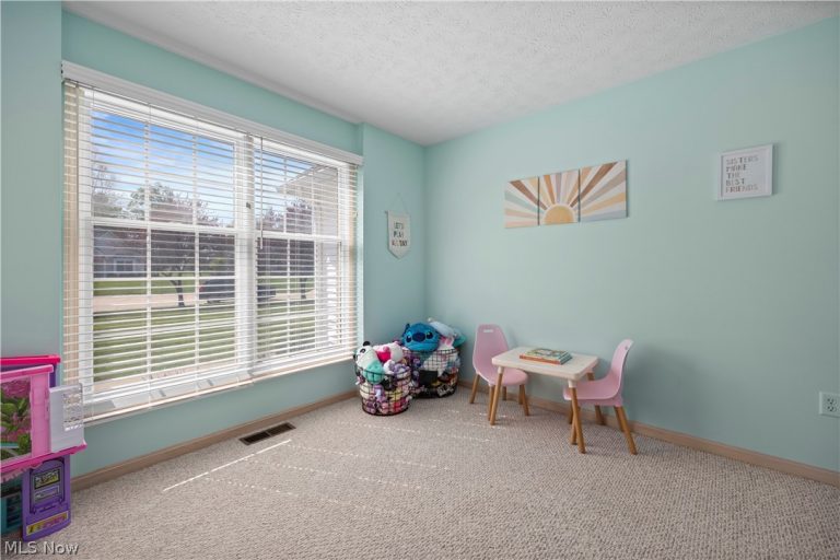 945 Red Tailed Lane, Amherst, OH - Photo 4