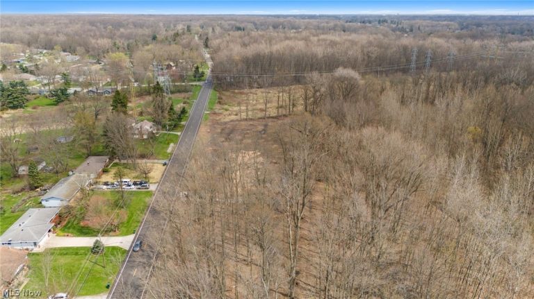 V/L Chestnut Ridge Road, North Ridgeville, OH - Photo 5