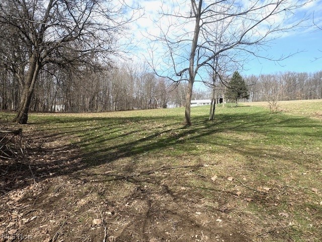 38019 Longs Crossing Road, Leetonia, OH - Photo 2