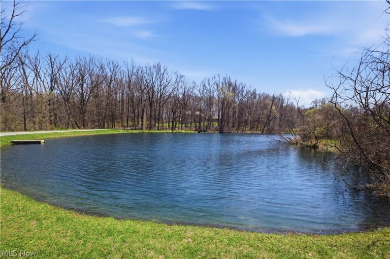 3190 Bunker Hill Road, Leetonia, OH - Photo 5