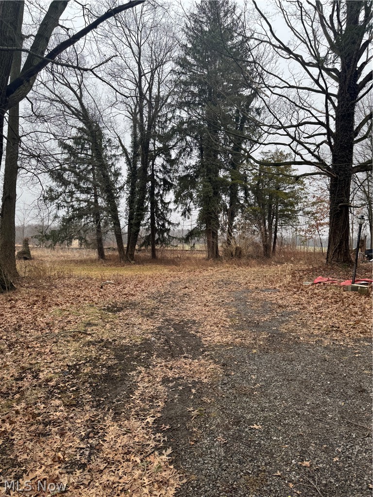 14665 Akron Canfield Road, Berlin Center, OH - Photo 2