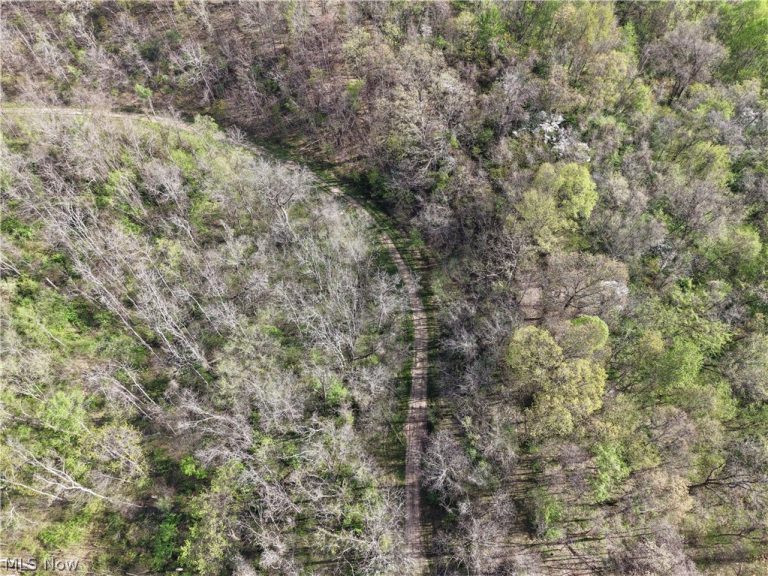 Harrons Ridge Road, Dexter City, OH - Photo 2