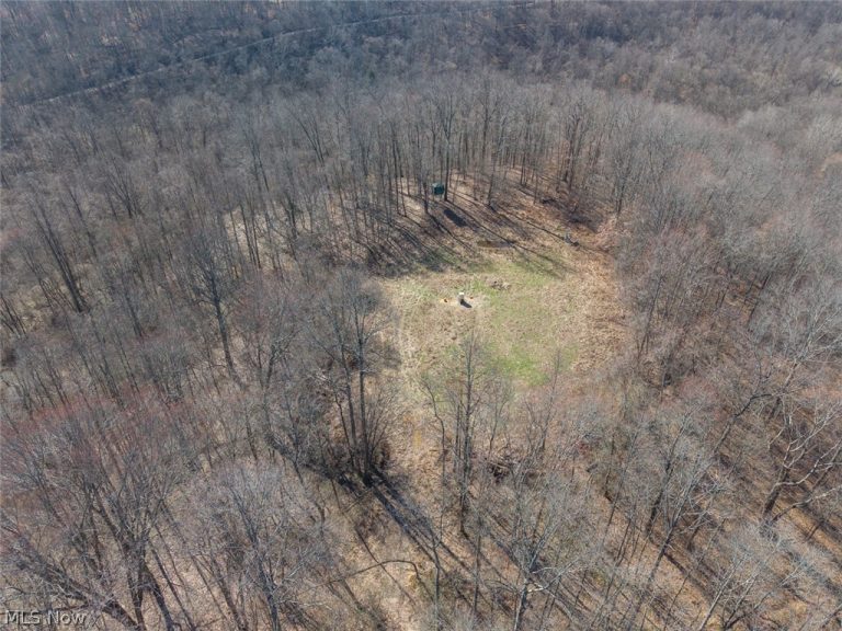 Clem Garvin Road, Caldwell, OH - Photo 5