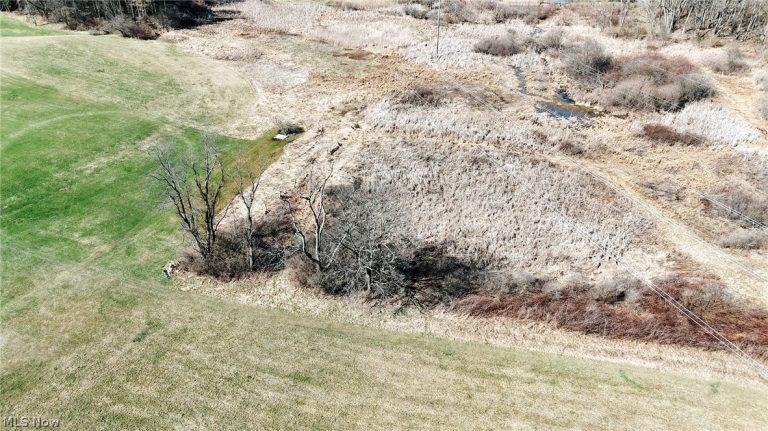 V/L Granger Road, Medina, OH - Photo 5