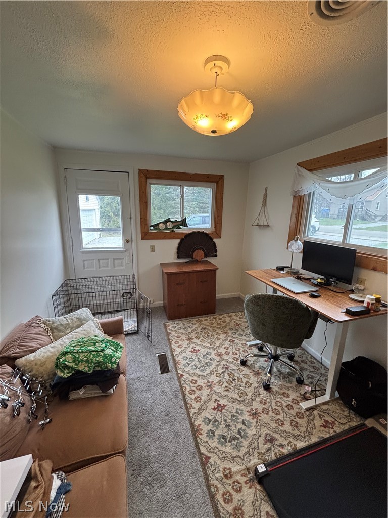 10526 Florida Street, Aurora, OH - Photo 6