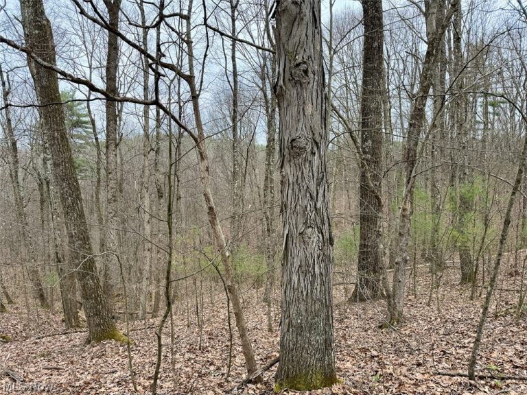 Hanson Road, Beverly, OH - Photo 8