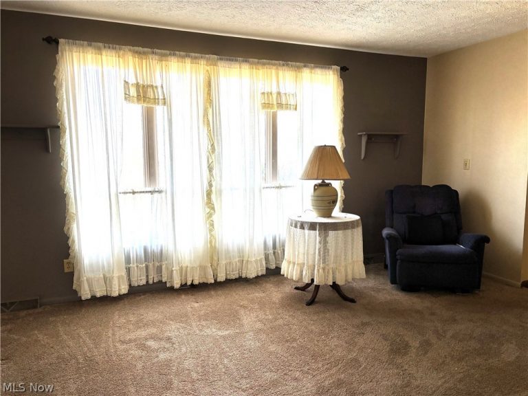 43753 Columbiana Waterford Road, Columbiana, OH - Photo 4