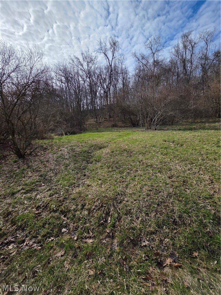 Iroquois Trail, Senecaville, OH - Photo 3