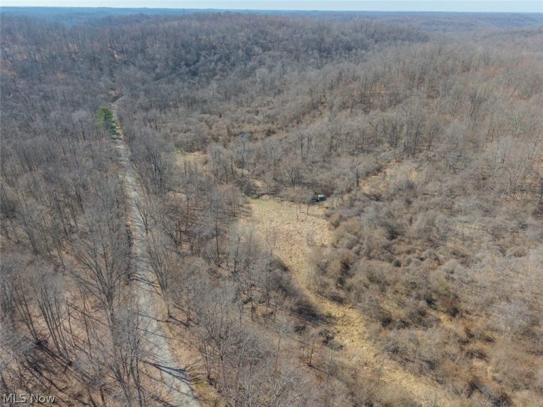 Clem Garvin Road, Caldwell, OH - Photo 4