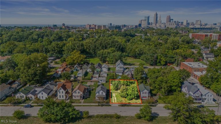 Vega Avenue, Cleveland, OH, 44113