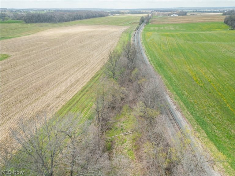 Steiner Road, Creston, OH - Photo 3