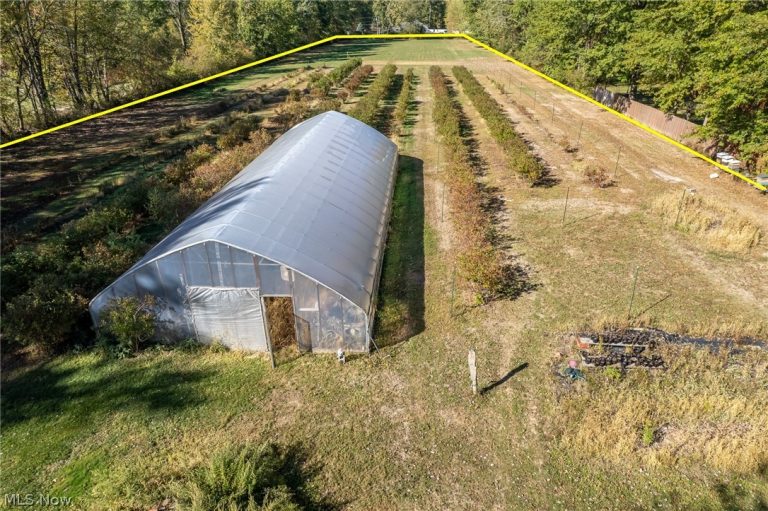 7168 Case Road, North Ridgeville, OH - Photo 5