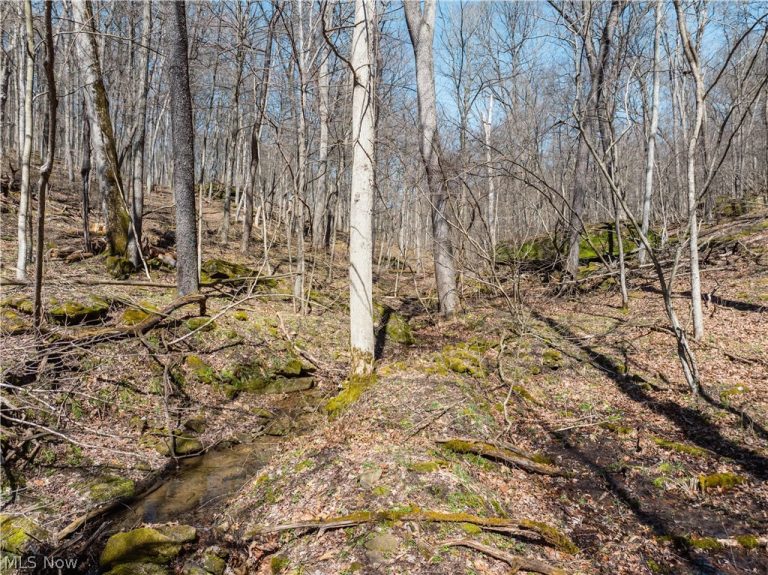 Township Road 34, Killbuck, OH - Photo 3
