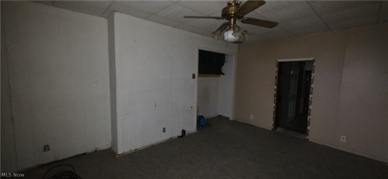 269 UNION Street, Mt Pleasant, OH - Photo 4