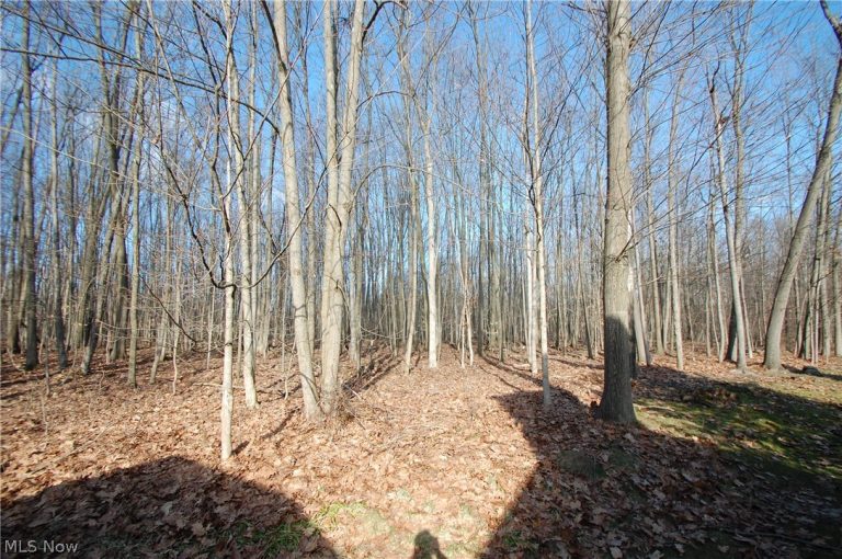 7863 Walnut Street #A, Boardman, OH - Photo 4