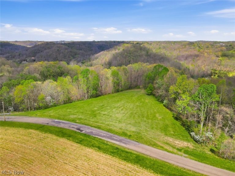 Union Hill Road, Blue Rock, OH - Photo 5