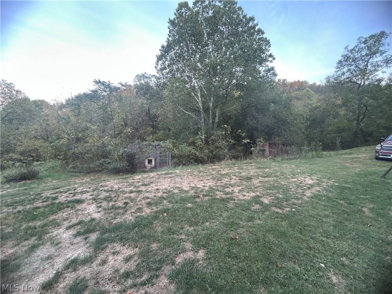 8188 Dozer Road, Cambridge, OH - Photo 6