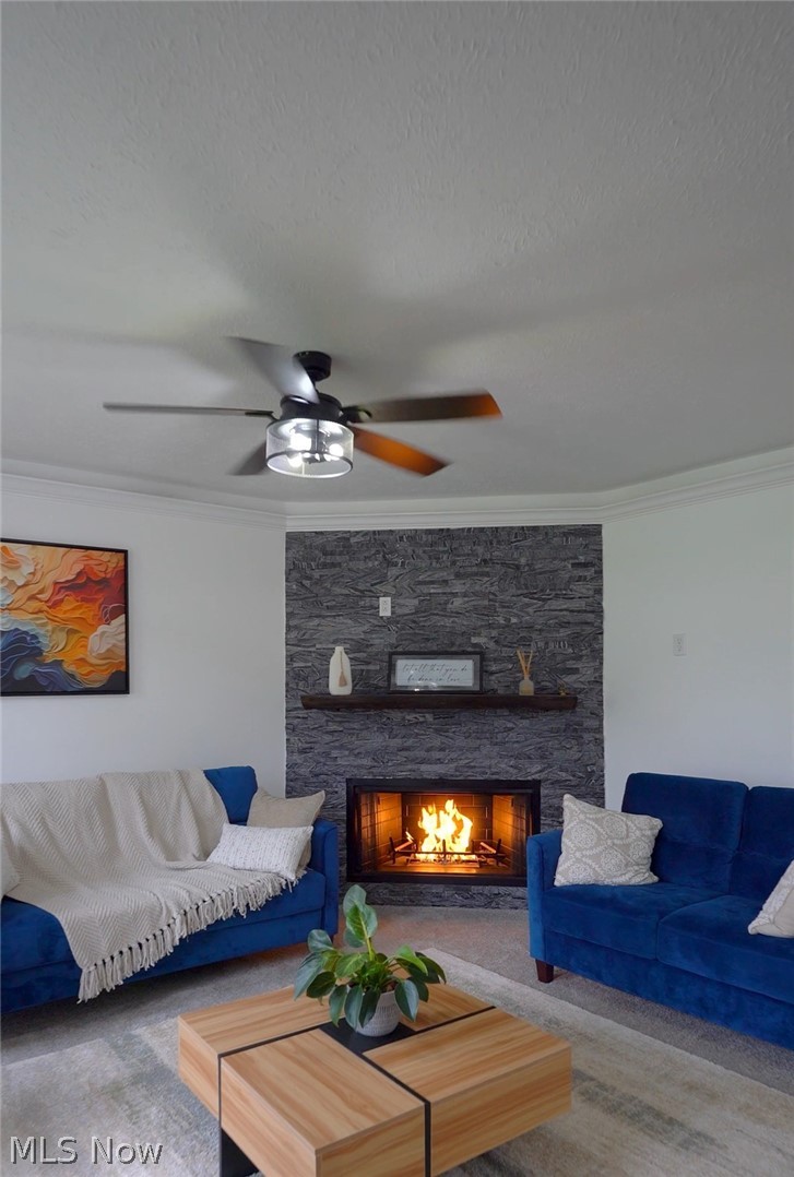 482 Brentwood Boulevard, Copley, OH - Photo 4