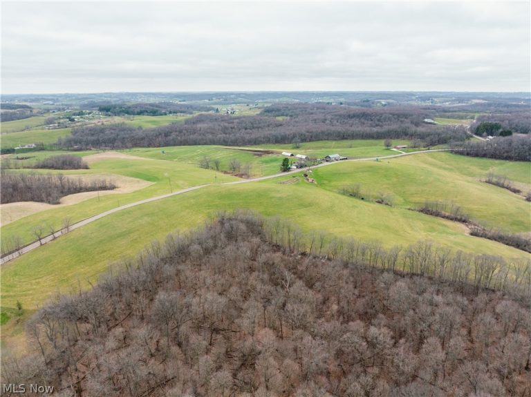 SR-516, Dundee, OH - Photo 4