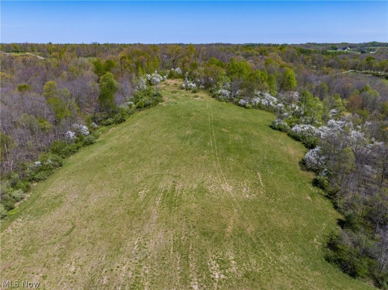 Bagley Road, Mount Perry, OH - Photo 6
