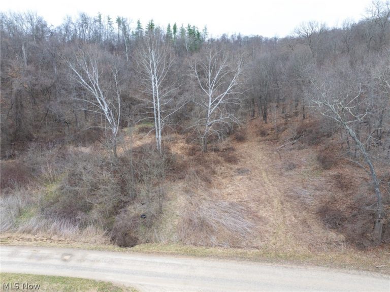 Sarchets Run Road, Cambridge, OH - Photo 2