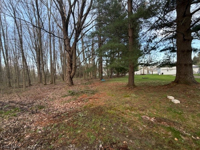 Willow Street, Solon, OH - Photo 2