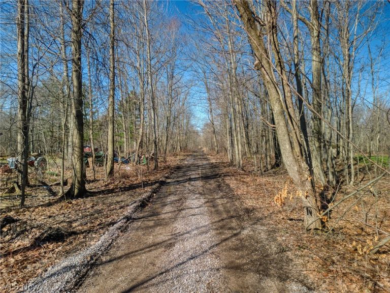 County Line Road, Madison, OH - Photo 4