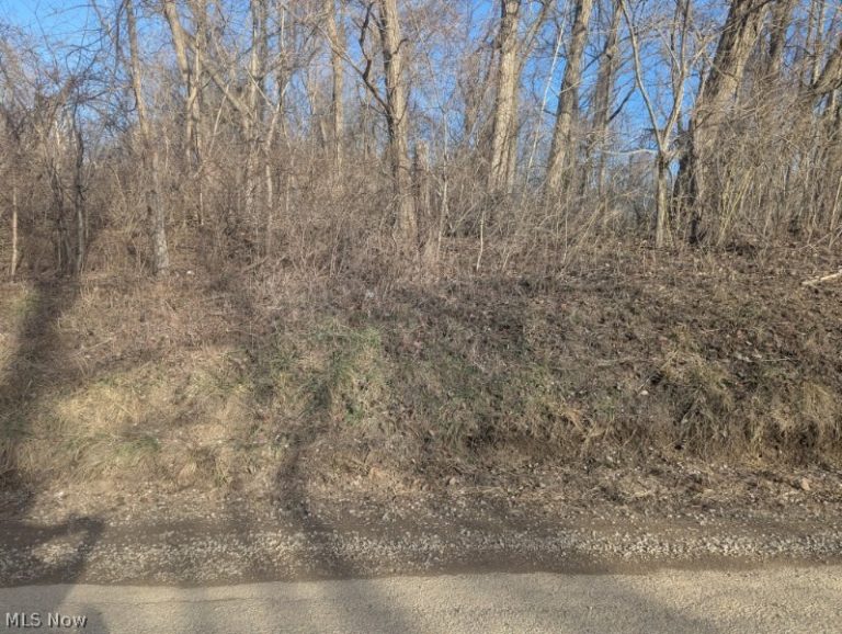 Township Road 215, New Lexington, OH - Photo 4